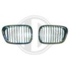 DIEDERICHS 1223140 Radiator Grille